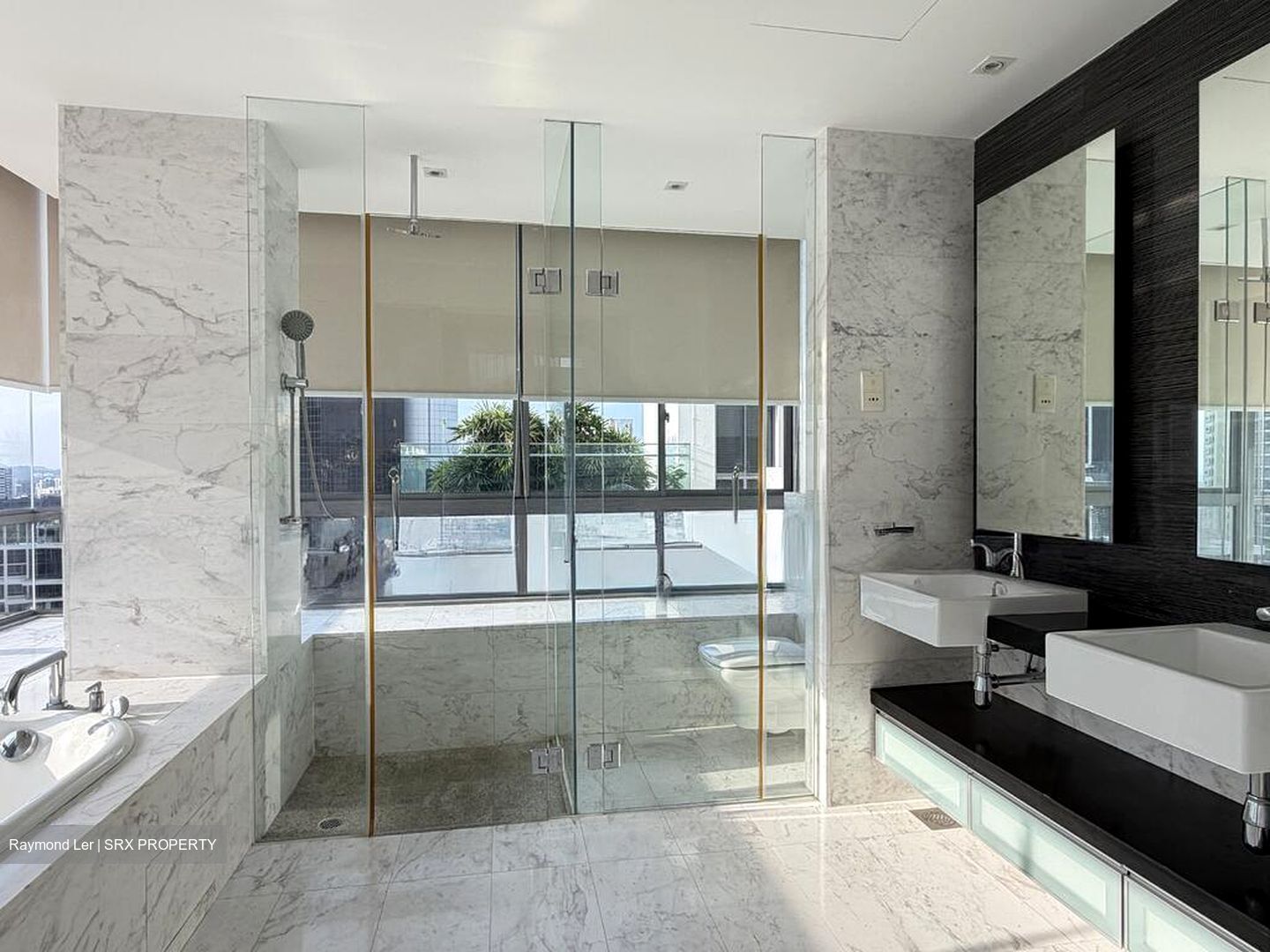 CityVista Residences (D9), Condominium #518299581